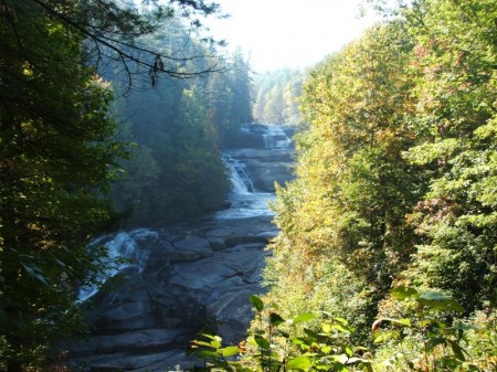 Dupont State Forest