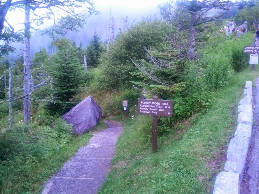 clingman's dome