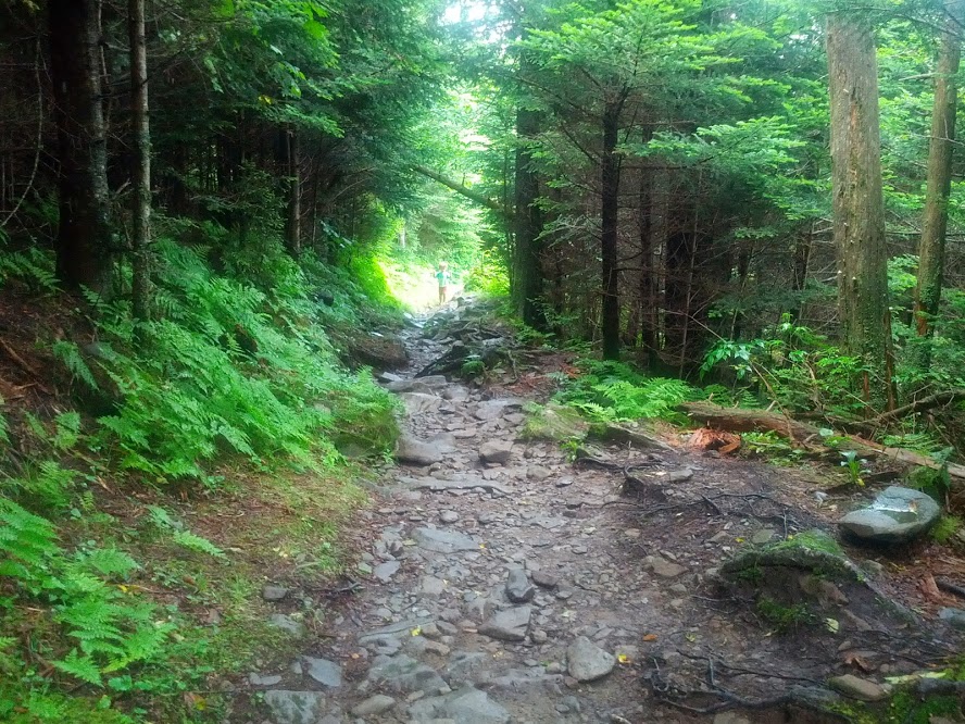 clingman's dome