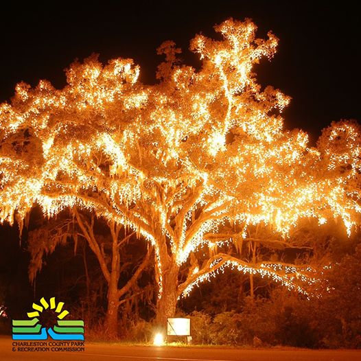 festival of lights