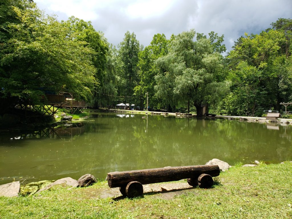 fishing pond