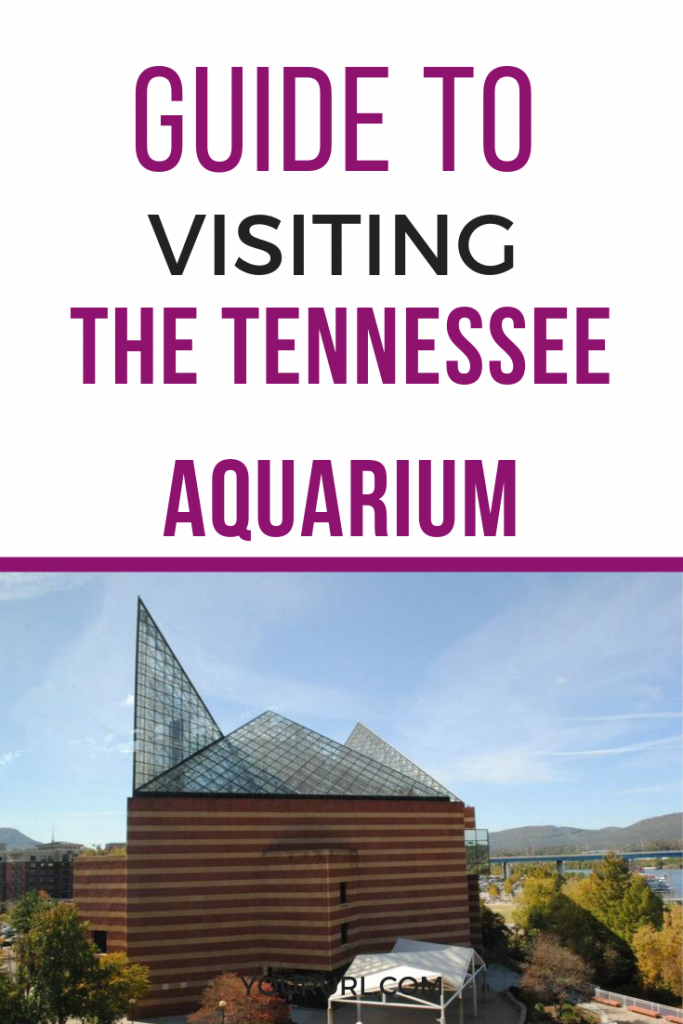 tennessee aquarium guide