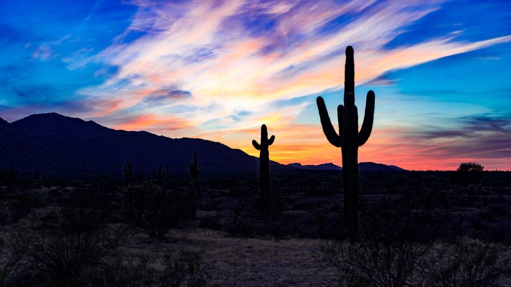 phoenix
